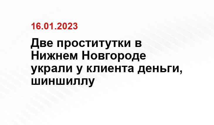 Две проститутки в Нижнем Новгороде украли у клиента деньги, шиншиллу