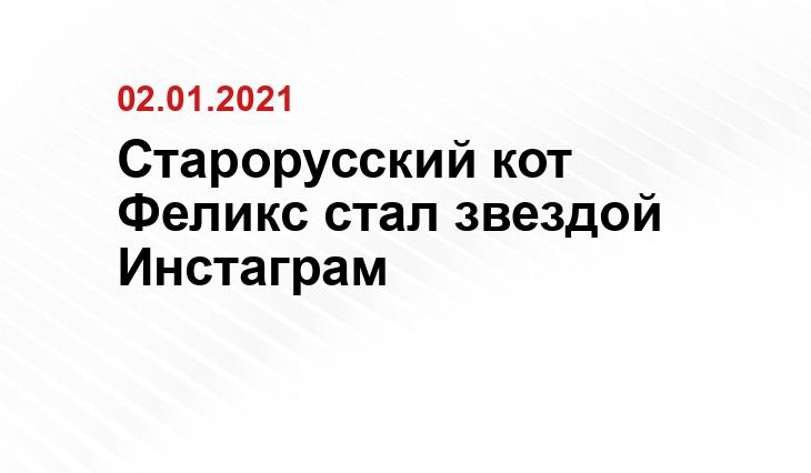 https://novvedomosti.ru