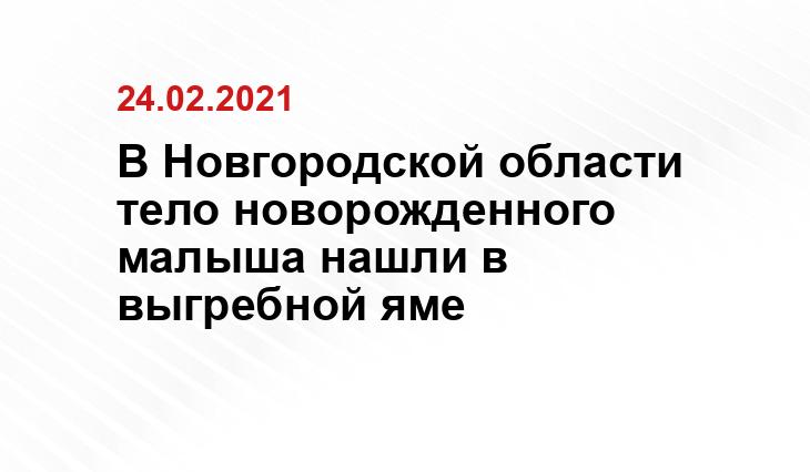 Пресс-служба СУ СК России по Новгородской области