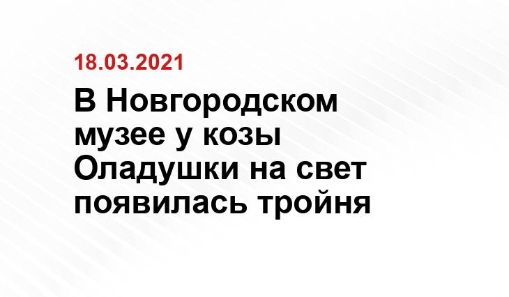https://vk.com/novreg
