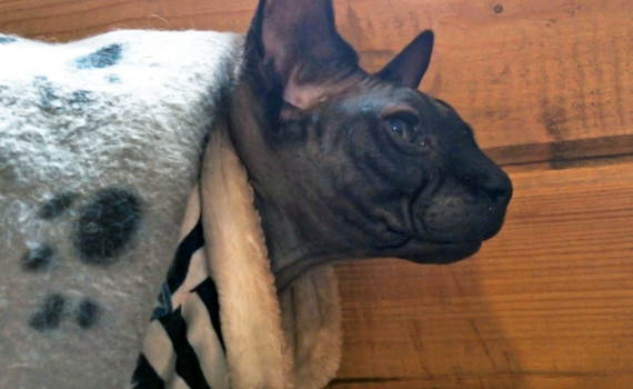 Экономно и тепло: как выбрать самый выгодный обогреватель в 2025 году — важна не только мощность