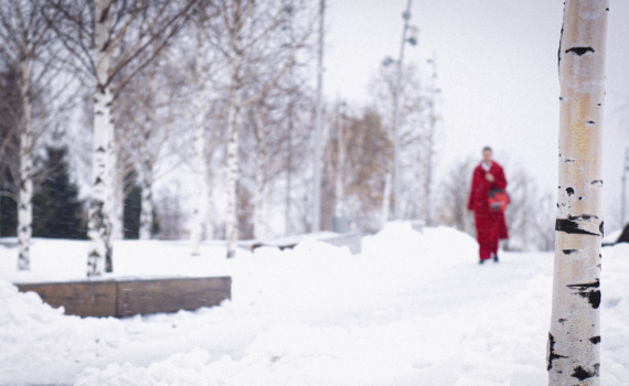 Элегантность без усилий: 3 фасона пальто, которые сделают вас иконой стиля осенью и зимой 2026 года