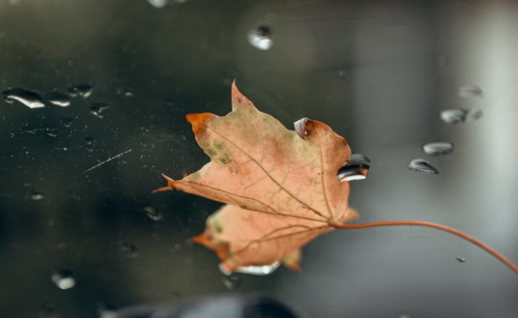 30 октября отмечаем праздник инженера-механика, тренера, ортопедической медсестры и не только