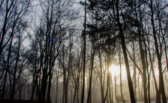 Лунный календарь 29 ноября 2025: что можно и нельзя в день Источника, чтобы услышать свою интуицию