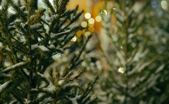 Зима 2026 пахнет ванилью и дымным ромом: 4 аромата, которые станут вашей визитной карточкой Зима 2026 пахнет ванилью и дымным ромом: 4 аромата, которые станут вашей визитной карточкой