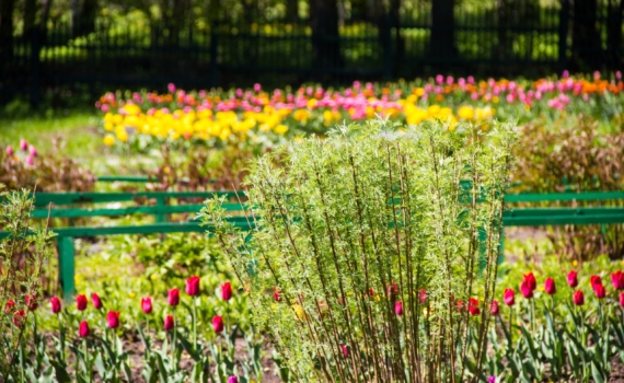 Планируем май-2026: как за 5 дней отпуска, получить 11 выходных — схема, о которой молчит кадровик Планируем май-2026: как за 5 дней отпуска, получить 11 выходных — схема, о которой молчит кадровик